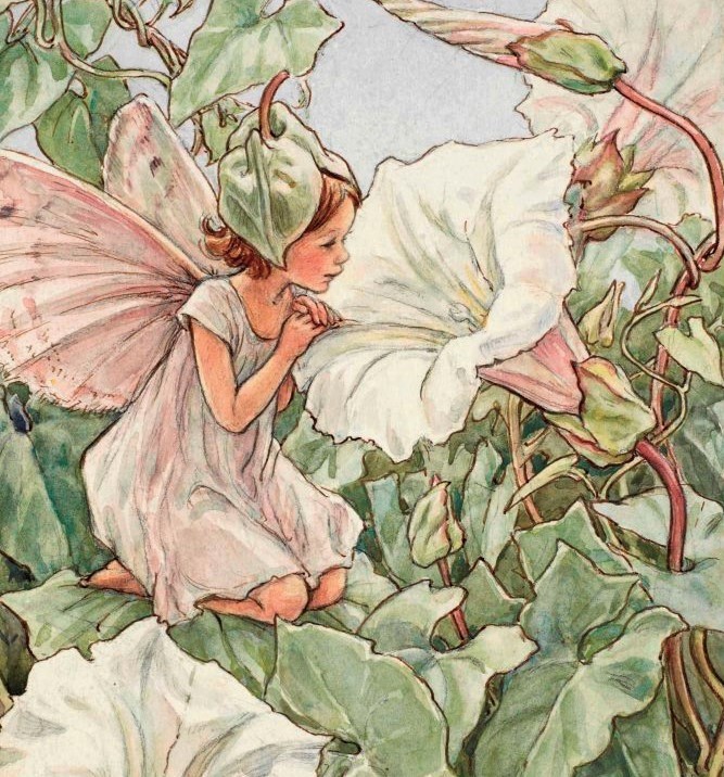 dreamyyarchive's tweet photo. flower fairies by cicely mary barker 🧚‍♀️ https://t.co/XB4kgXLb7i