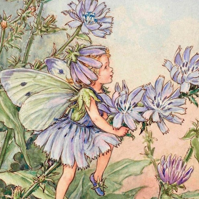 dreamyyarchive's tweet photo. flower fairies by cicely mary barker 🧚‍♀️ https://t.co/XB4kgXLb7i