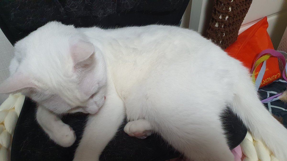 방종했으니 발닦고잠이나자야지..그럴수도있지..