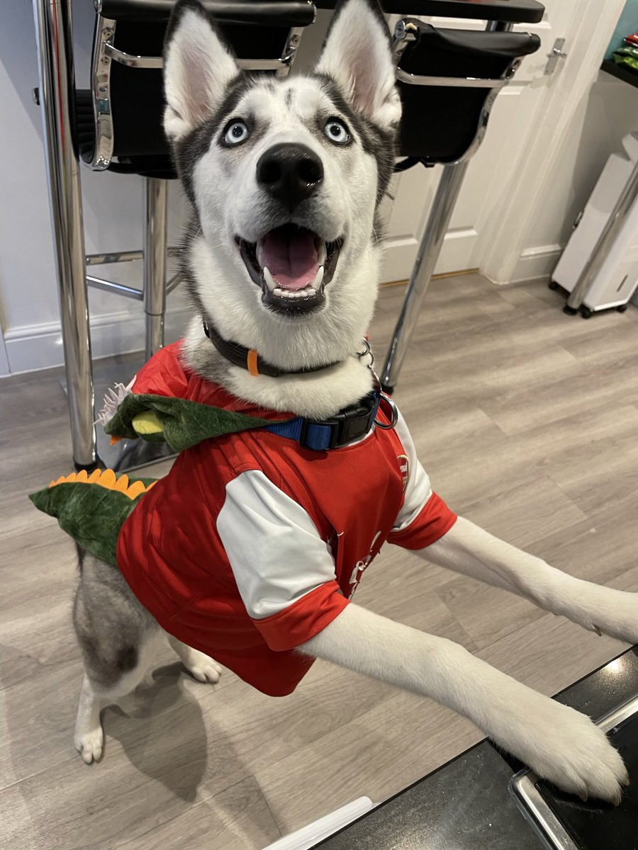 JessMonty's tweet photo. @LydiaRoseHawken Kaia as the @Arsenal mascot, Gunnersaurus. Rawr x https://t.co/GpieMOZcDz