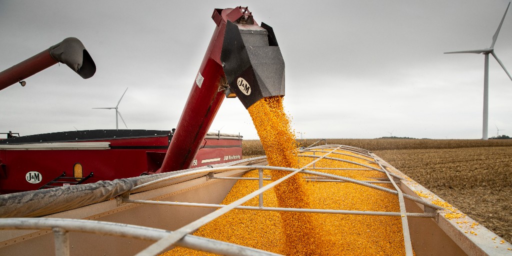 FSCooperatives's tweet image. &quot;Outstanding performance&quot; on repeat.

#FSInVISION #ChangeTheGame #Harvest23 bit.ly/3D9zxqB