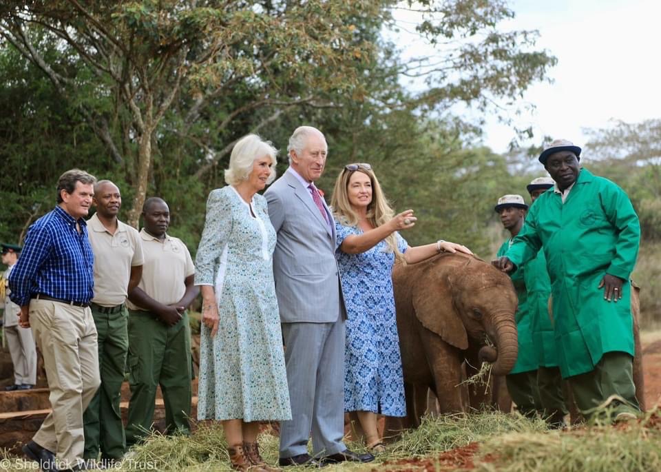 SheldrickTrust's tweet image. We were honoured to welcome King Charles III and Queen Camilla to our Nairobi Nursery this afternoon. They were received by Angela Sheldrick, Robert Carr-Hartley, and several members of our team, including James Mbuthia, SWT Habitat Protection Officer; George Mwau Muthui, SWT