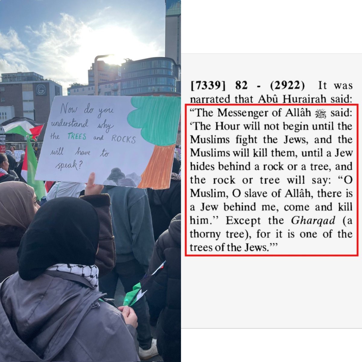 AskAnshul's tweet photo. “Now do you understand why the trees and rocks will have to speak”. This placard is from Pro Palestine &amp; Anti Israel rally.

And, here is the meaning of this phrase. https://t.co/5Xjja67q8W