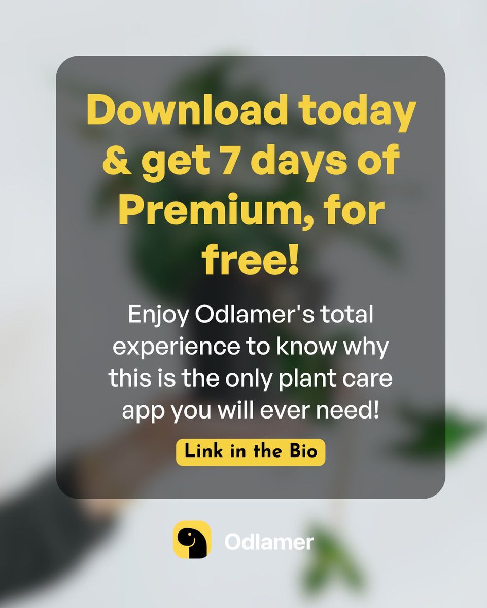 🇬🇧 Which houseplants are on your must-have list? On Odlamer you can search over 9000+ plants and create your own wish list. Download the App today! 

#wishlist #houseplant #2023
