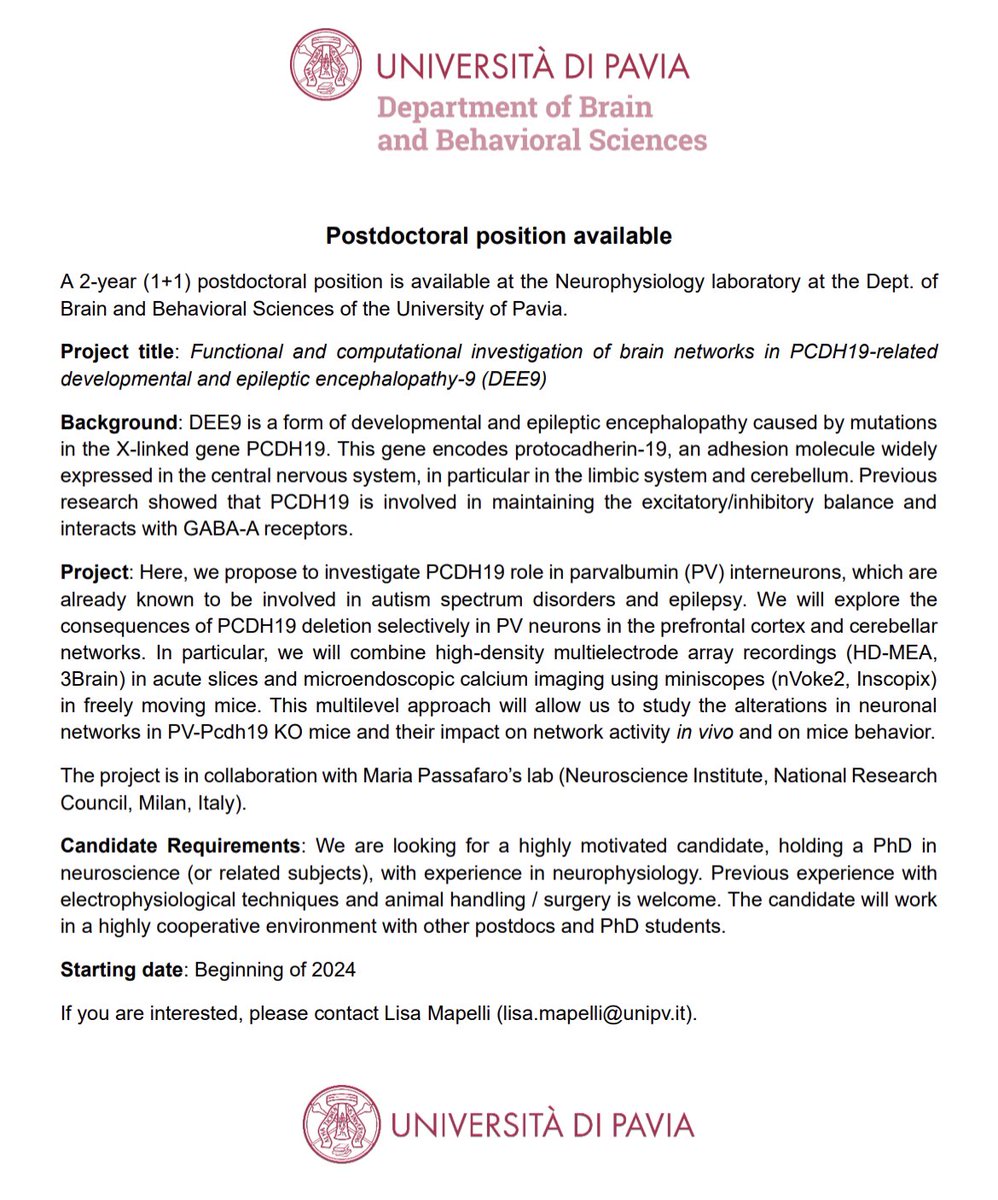 lisa_mapelli's tweet photo. A second #postdoc position is available in our lab at @unipv!

This project will focus on brain network functions in #PCDH19-related developmental and epileptic encephalopathy (see details 👇)

#neurophysiology #electrophysiology #epilepsy #postdocjobs #cerebellum https://t.co/9IG2Kix9J4