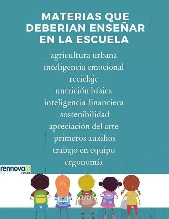 En una futura reforma educativa y del currículum en la educación dominicana, además de enfocar mejor las ciencias básicas y aplicadas, se debe incluir lo siguiente: