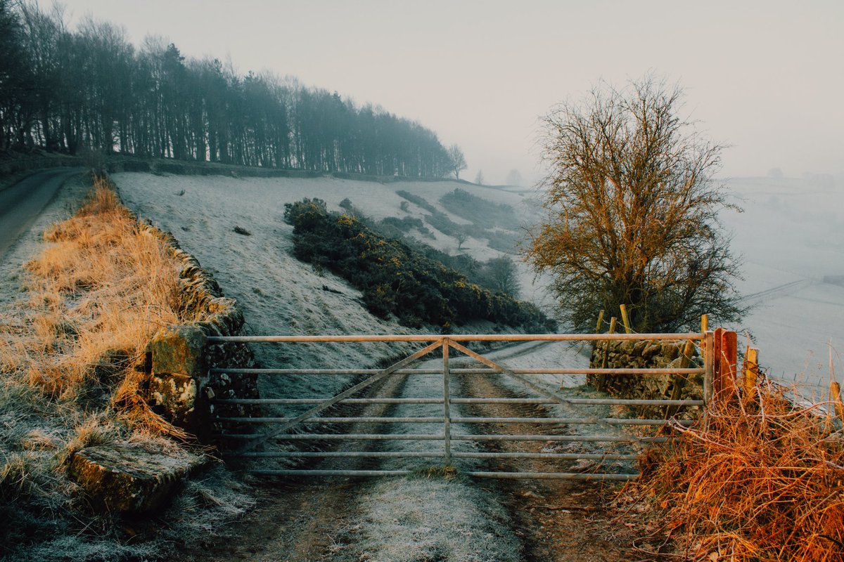 DanielCasson1's tweet photo. Frosty Mornings 🥶 // https://t.co/eEgttGxkBd
