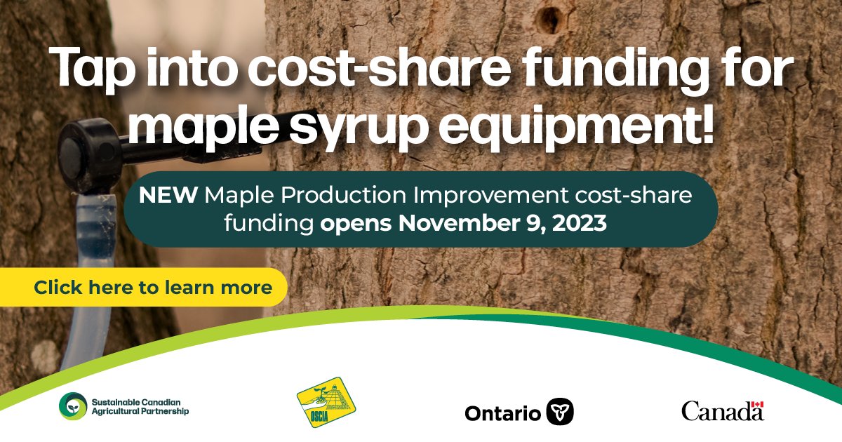 INTAKE OPENS November 9 at 9:00 am ET! 

Ontario maple syrup producers can apply for   cost-share funding for equipment and woodlot management under the Maple Production Improvement Initiative. 

Check it out! ontariosoilcrop.org/maple-producti…

#OntAg #SustainableCdnAg