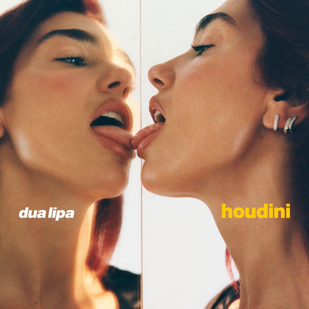 projectdualipa's tweet photo. HOUDINI https://t.co/G2zDegdRkw
