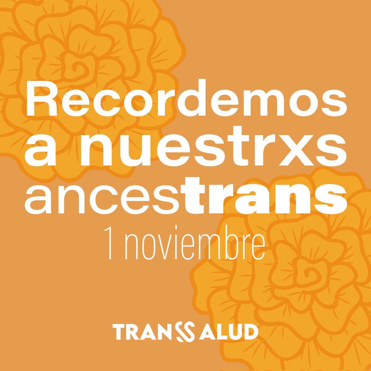 TransSalud's tweet photo. honramos la memoria de todes quienes consciente o inconscientemente sembraron las semillas de las que brotamos, aquí , allá y en el más allá, por quienes seguimos y por quienes nos cuidan y guían, brindamos y abrimos el corazón, descansen en el poder para la eternidad ✊🏻🏳️‍⚧️ https://t.co/tNKGqblpXQ