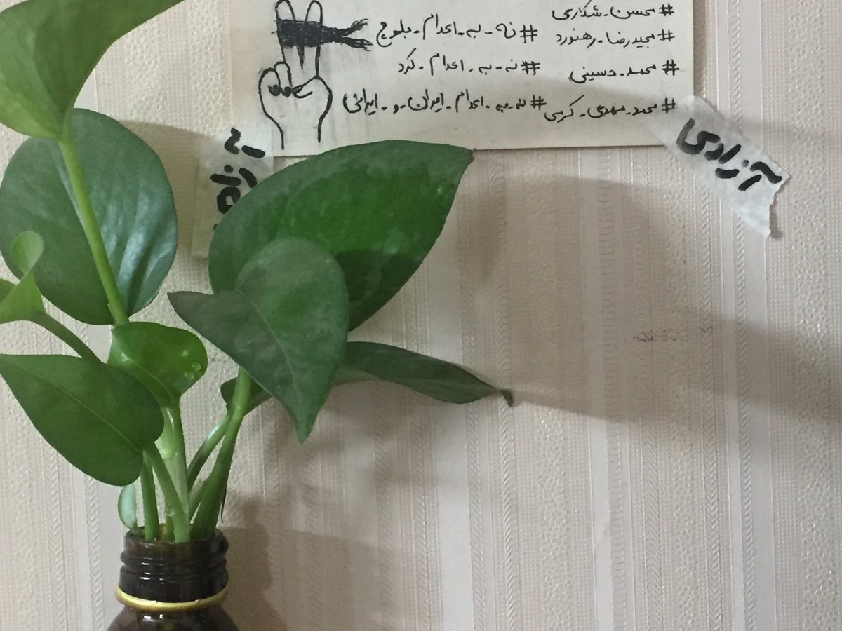 تولدت مبارك پسر دلاور #ماشاالله_كرمی 
#محمدمهدی_کرمی 
#محمد_حسینی 
#مجيدرضا_رهنورد
#محسن_شكاري
#مهسا_امينی 
#آرمیتا_گراوند