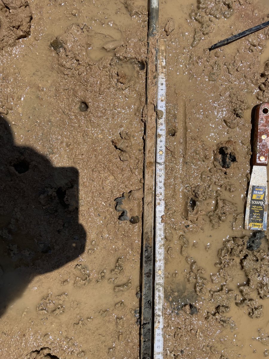 Ruth Reef 🌊 tweet media