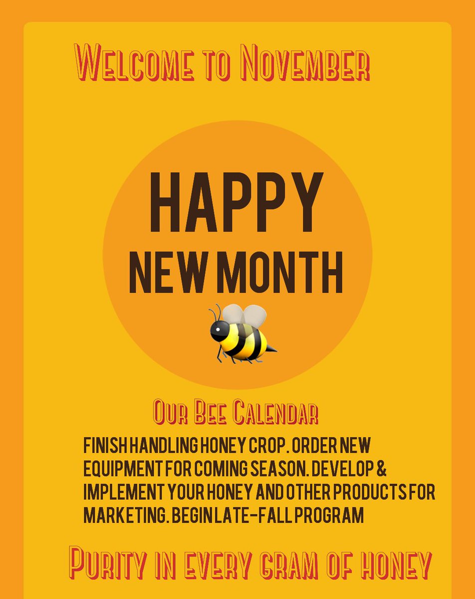 Mbeekeepers_zw's tweet photo. Happy New Month to you all ππ
.
.
.
.
.
.#proudbeekeeper #exploringthedream #zimbeekeeper #zimbeekeeping #huchikuvanhu #bees #HappyNewMonthfamz https://t.co/2jswXyqPFW