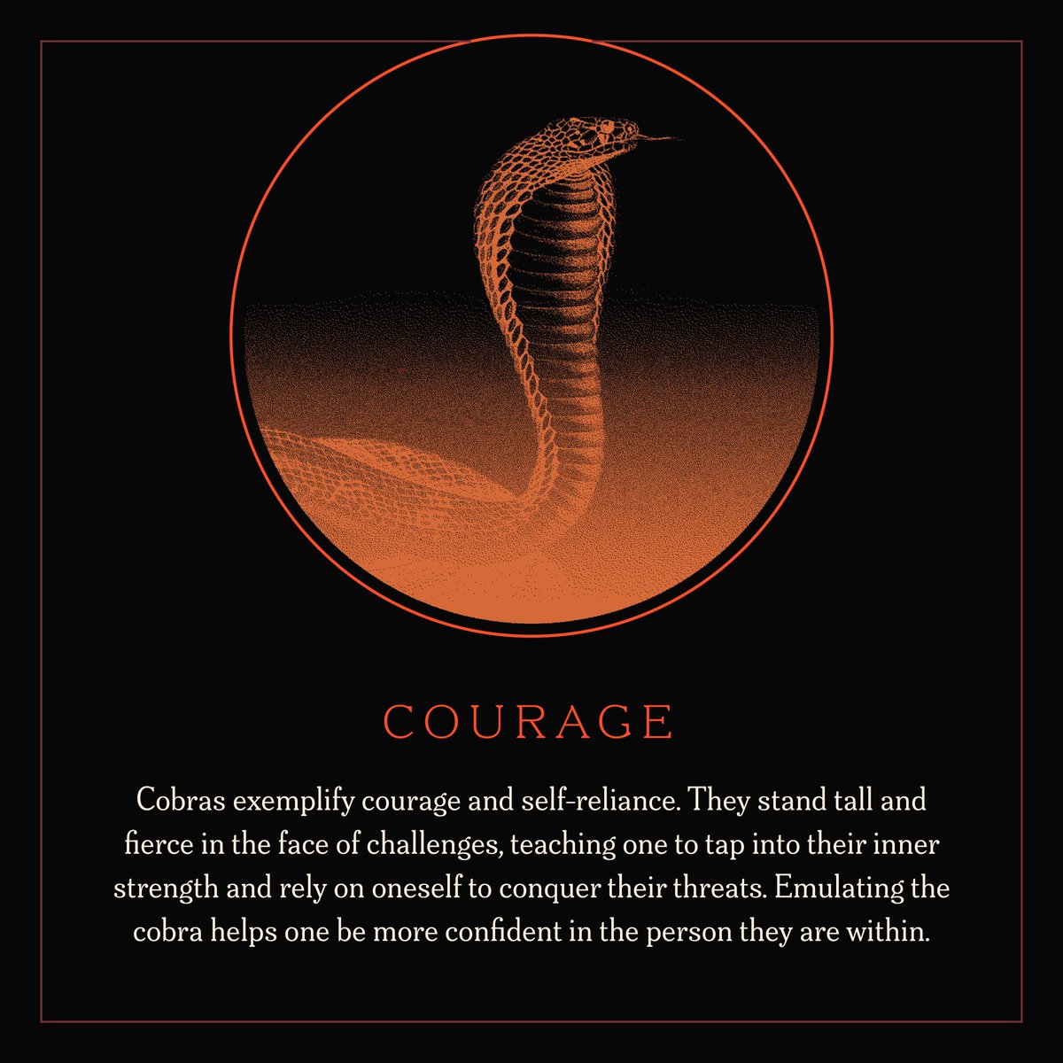 theestallion's tweet image. 🐍🐍COBRA THIS FRIDAY 🐍🐍
mts.lnk.to/cobra