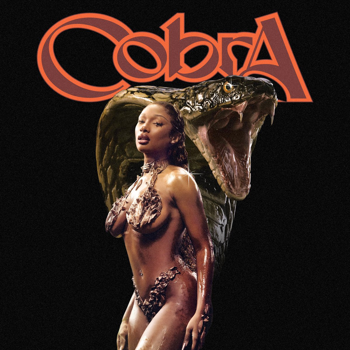 theestallion's tweet image. 🐍🐍COBRA THIS FRIDAY 🐍🐍
mts.lnk.to/cobra