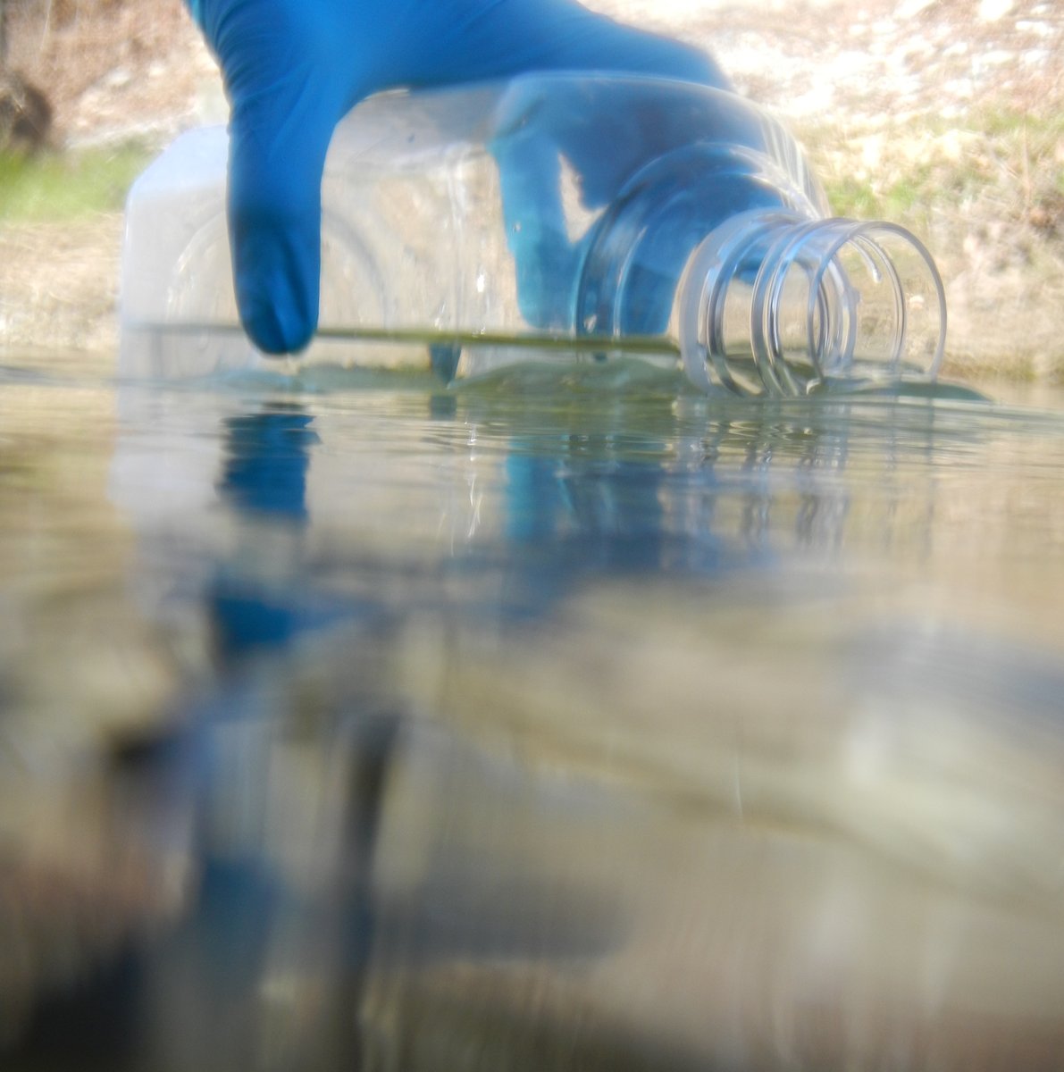 Submit #abstract now to our session <a href="/WorldBioForum/">World Biodiversity Forum</a>! #WBF2024 #eDNA

BEF_1.1 Advancing our understanding of #freshwater #ecosystems in the face of anthropogenic change: going beyond biodiversity: worldbiodiversityforum2024.org/session-progra…

worldbiodiversityforum2024.org/abstract-submi… 
Will use <a href="/ABCD_Conference/">ABCD_Conference</a> scheme