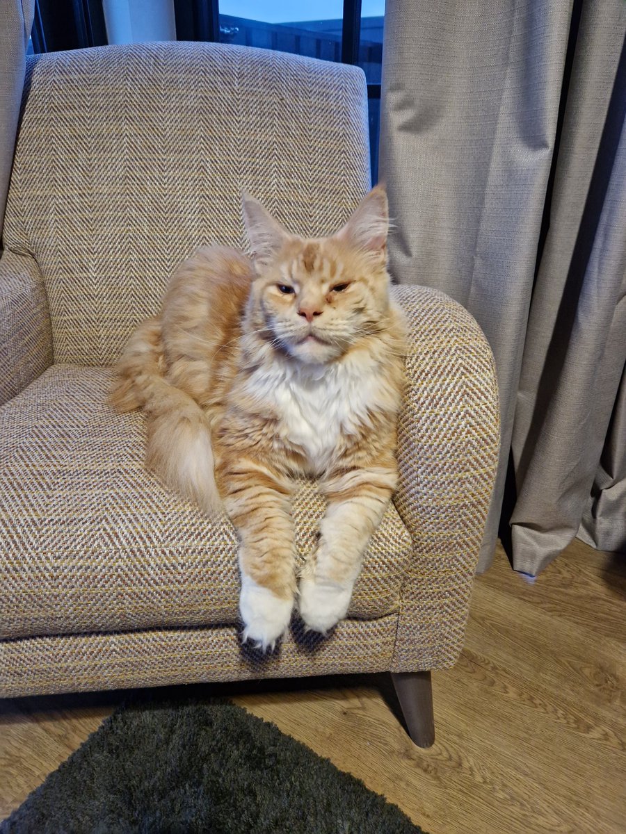 Ann Stanley tweet media