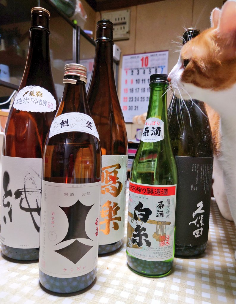 ak5577's tweet photo. おはようございます😊🌿
令和5年11月2日(木)
福岡は☀13℃/27℃

宴会の飲み残りのお酒を
いっぱい頂いちゃった
（〃＾∇＾）o_彡☆
当分は日本酒🍶❤
料理酒にするには上等すぎるかな～夜のちびちび、アテを考えるのが楽しみになる

今日も無事で穏やかな一日になりますように🍁
仕事いってきま～す🏃 https://t.co/PMAiDkNCxJ