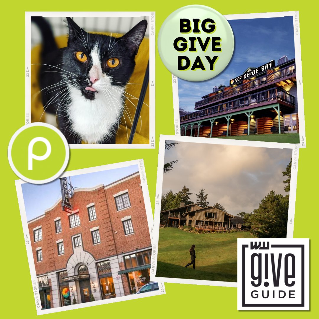 thepixieproject tweet media