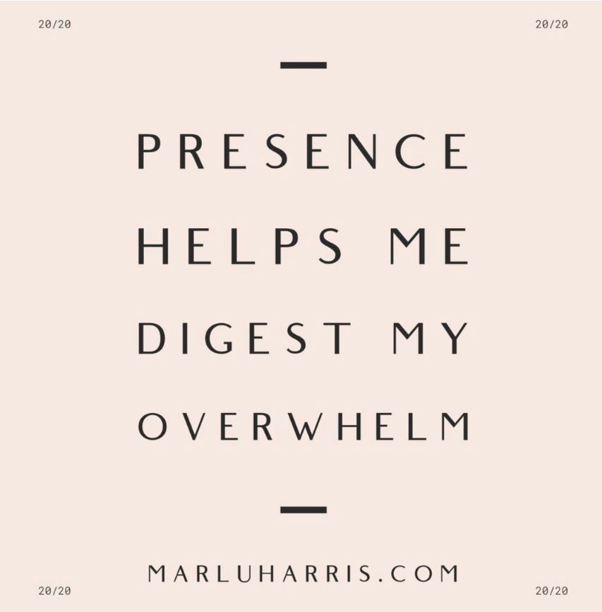 MarluHarris's tweet photo. During these unprecedented times, overwhelm creeps in and at some moments crashes down to remind us that everything‘s topsy-turvy and the whole world is upside down. ​​​​​​​​​
That’s when taking a deep breath and getting into the presence , following your breath to the present mo https://t.co/anTx27CkKt