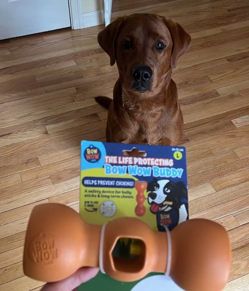 bowwowlabs's tweet photo. Who has already tried the newest Made in the USA Bow Wow Buddy?! If you haven't yet, head to your local @target to find your dog's perfect size! https://t.co/Se7mvZmX8m