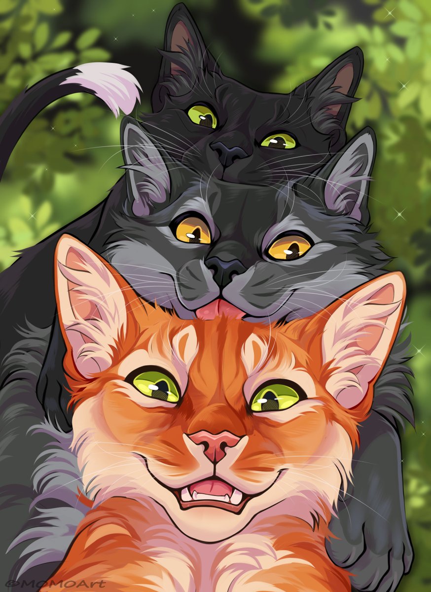 ✨ Warriors!✨

(Raven- graystripe - fireheart)