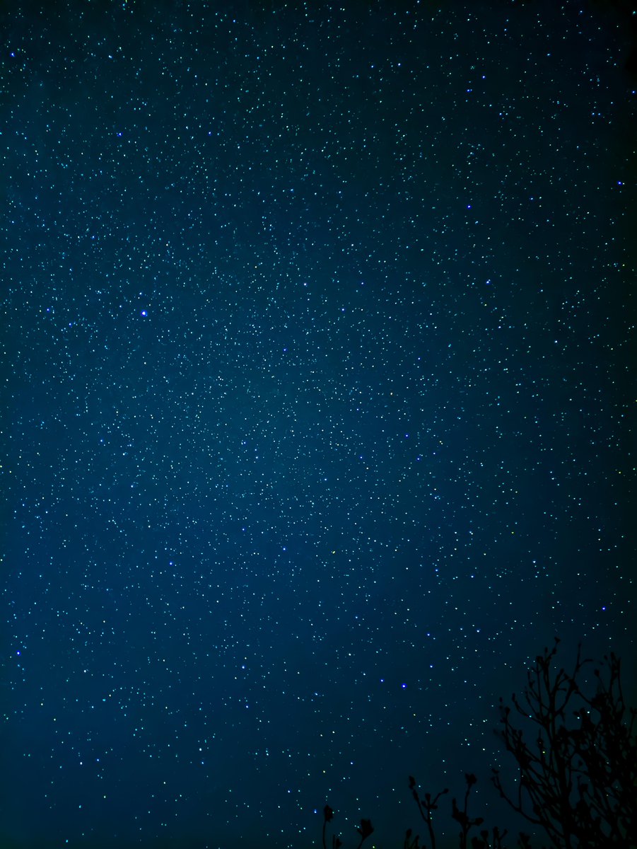 Space 8K tweet media