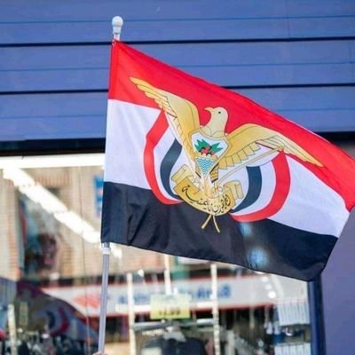 amedli merdo tweet media