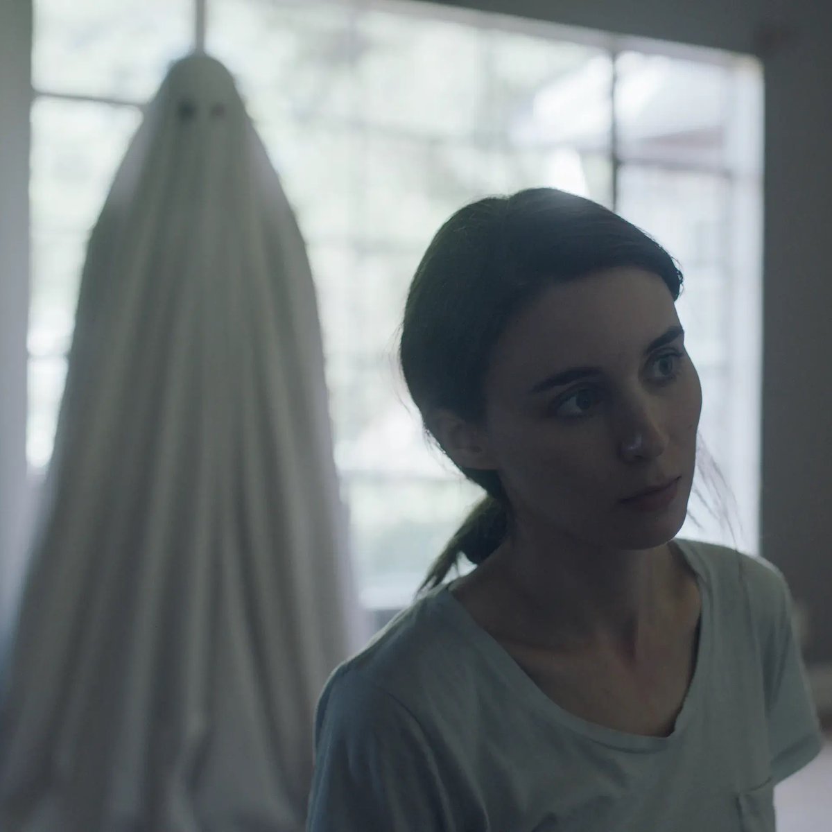 letterboxd tweet picture
