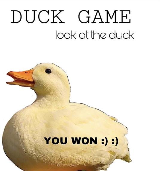 ShitpostGate's tweet photo. https://t.co/VUcN7DMrkf