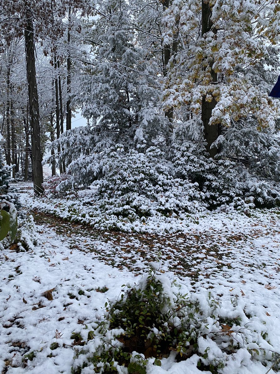 @Christy_SpaceHW Welcome to upstate and Western NY. Totally normal. My front yard at 7am and it’s all already melted.