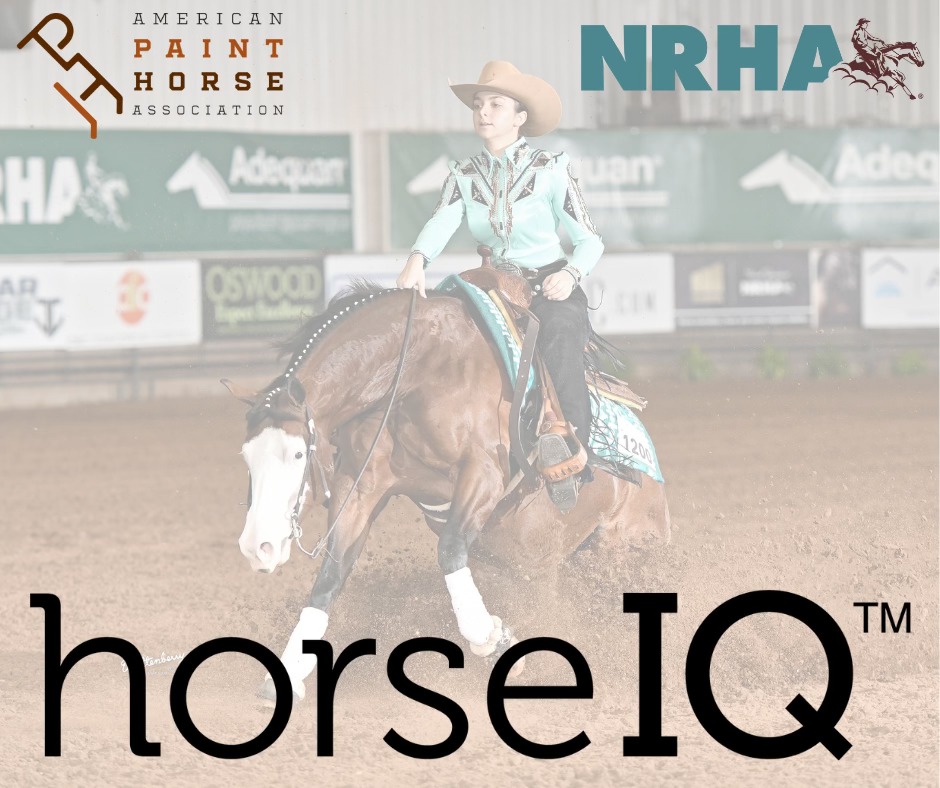 We are proud to announce that the Official American Paint Horse Association and the @nrha have furthered their partnership with the creation of a new reining education module on horseIQ, APHA’s popular virtual learning site! Visit horseiq.com today!