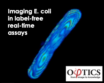phioptics's tweet image. Imaging Ecoli in label-free real-time assays with Spatial Light Interference Microscopy  from Phi Optics ow.ly/Unel50Q3c6G
#CellularMicroscopy #QuantitativePhaseImaging #E.Coli  #Microscopy #LabelFreeImaging  #RealTimeAssays #MicroscopyTech #CellularResearch