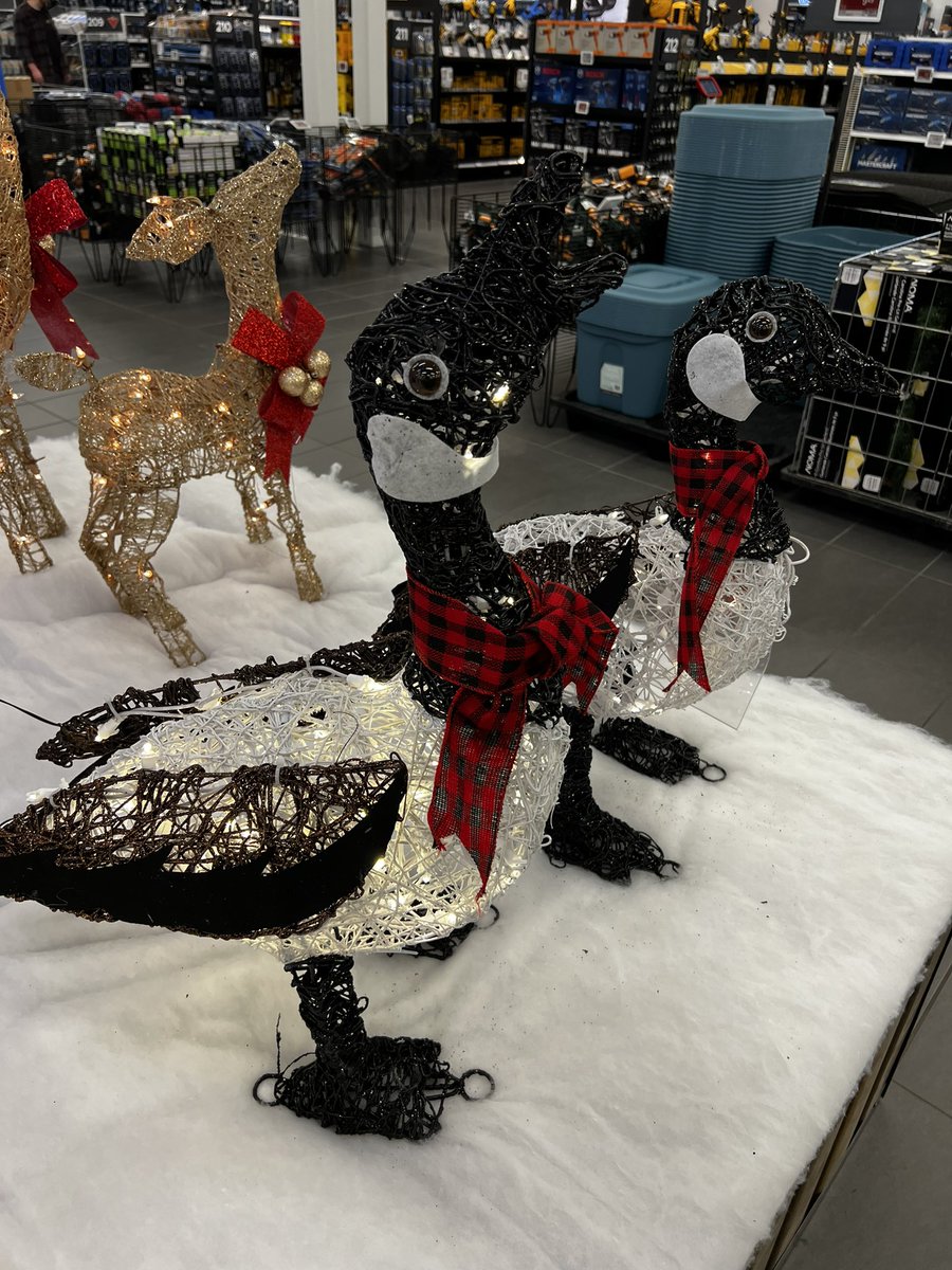 David Moscrop tweet media