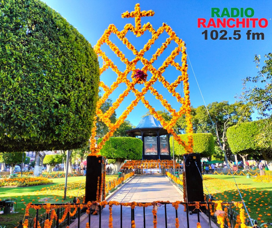 Radio_Ranchito's tweet photo. En el marco del las festividades por el #DiaDeMuertos asi luce el centro de #Morelia. 💀📷
📸@sifuentesmalu

#RadioRanchito #MegustaMas #DiaDeTodosLosSantos https://t.co/HB1Y46vAhQ