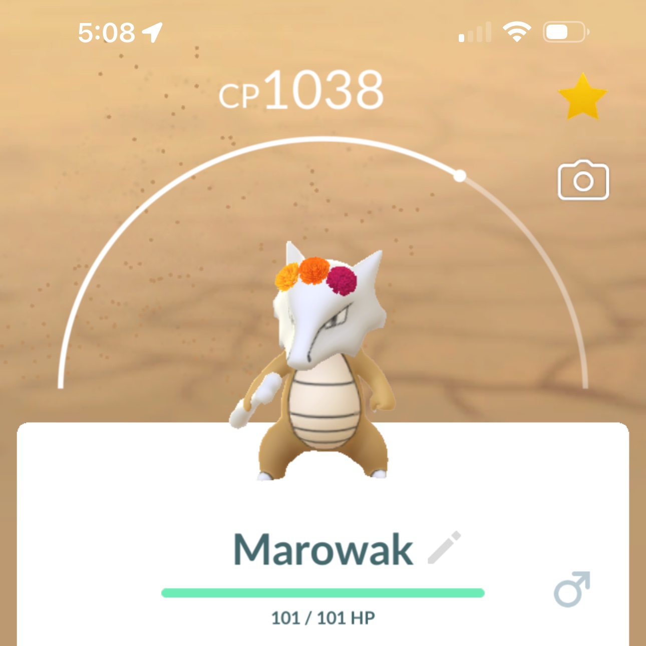 Remaster do Marowak e do Shiny Marowak - Jogo - Fórum otPokémon