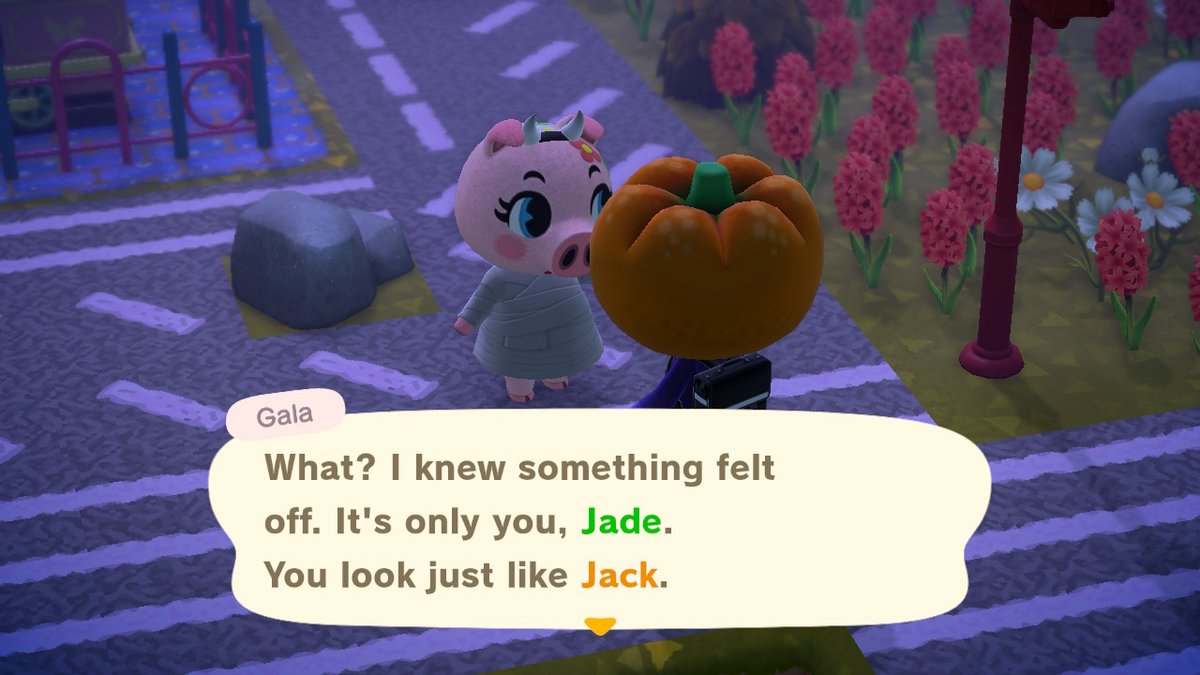 #AnimalCrossing #ACNH #NintendoSwitch
