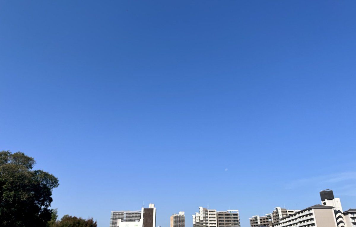 Xploring Soul tweet media