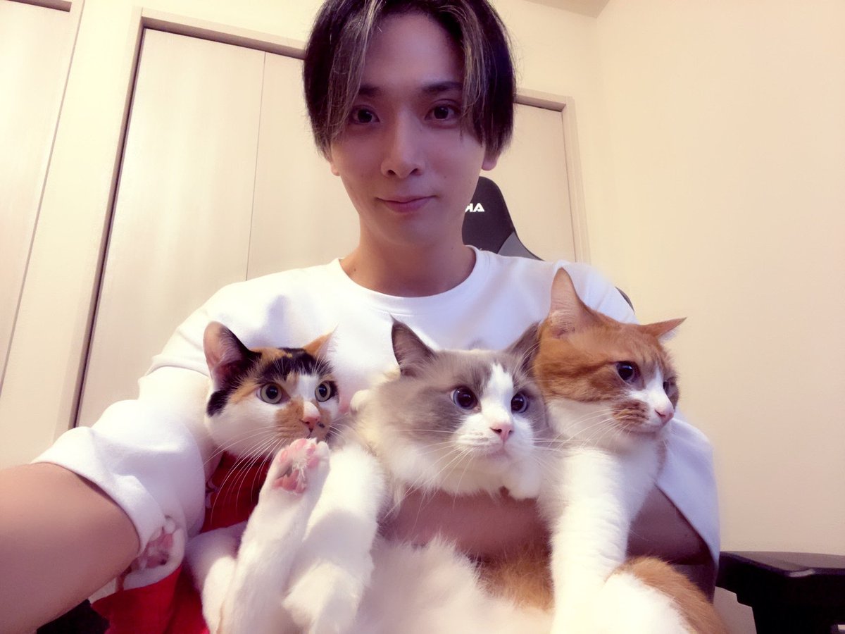 校條拳太朗 香水 menjyo2_eye-1.jpg