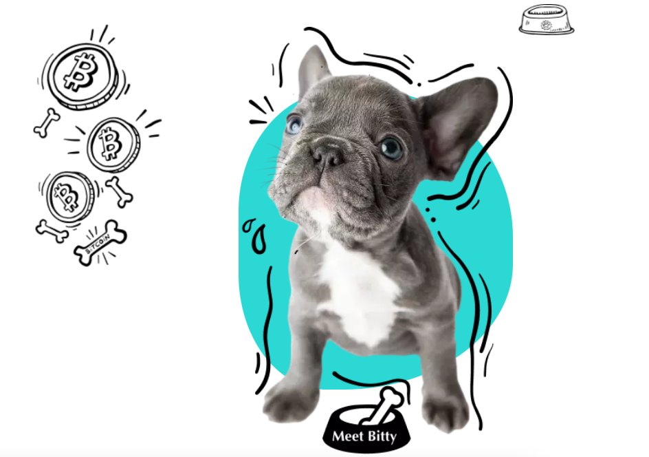 Muhammed ŞAHİN tweet media