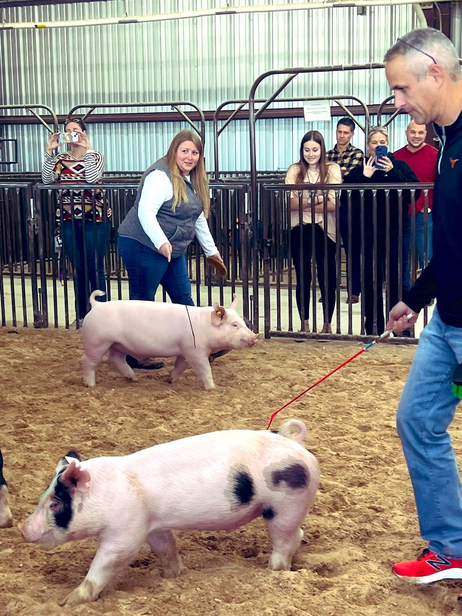 DrFaulknerLISD's tweet photo. Had the time of my life at the @LHSFFA Faculty Showmanship Show! Hollie &amp; Herman (pig) and Kendall &amp; Bubba (mini cow) were a blast to work with. I learned so much from Kendall &amp; Hollie - both great leaders in our FFA program. Can’t wait for next year!! https://t.co/sVdleOYpJ9