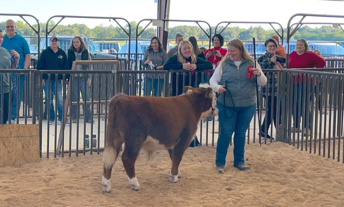 DrFaulknerLISD's tweet photo. Had the time of my life at the @LHSFFA Faculty Showmanship Show! Hollie &amp; Herman (pig) and Kendall &amp; Bubba (mini cow) were a blast to work with. I learned so much from Kendall &amp; Hollie - both great leaders in our FFA program. Can’t wait for next year!! https://t.co/sVdleOYpJ9