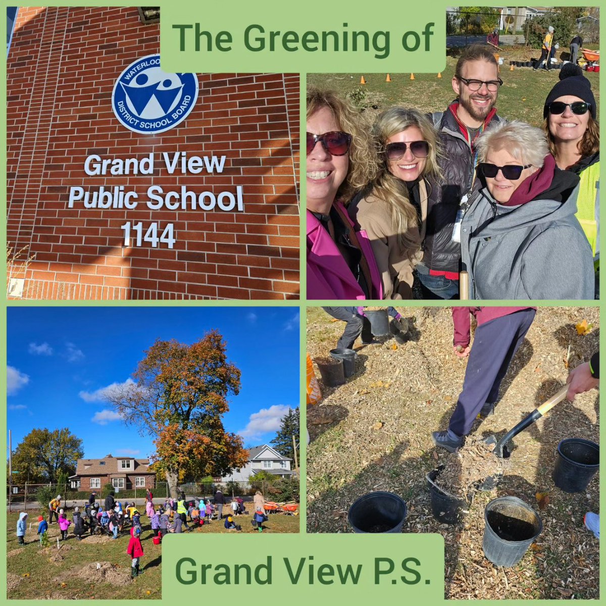 Carla_Johnson's tweet image. Inspiring morning! Greening of Grand View P.S. in Cambridge. 🌱🌳 Thank you, @N8ureNate. Every student participated from planting trees to spreading mulch. Fantastic school-wide endeavour!
Go Hawks! 💛
@wrdsb @gvcwrdsb @kwoodck

#treeplanting #schoolgreening #outdooreducation