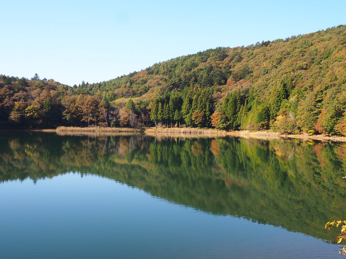 shibireko's tweet photo. 今朝の四尾連湖。気温7度。少しずつ色づき始めました。
キャンプの方は寒さ対策をしっかりしてお越し下さい。 https://t.co/mxHH3RZZB9