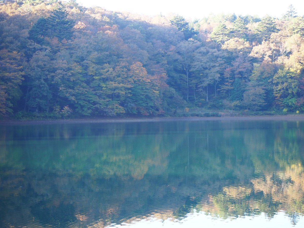shibireko's tweet photo. 今朝の四尾連湖。気温7度。少しずつ色づき始めました。
キャンプの方は寒さ対策をしっかりしてお越し下さい。 https://t.co/mxHH3RZZB9
