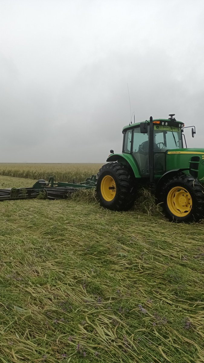 Cultivo de servicio multiespecie 

Siembra: 03/05/2023
Especies: centeno, triticale, vicia villosa, rabanito forrajero

Estancia el manantial <a href="/AGDagro/">Aceitera General Deheza SA</a>

Gran gira de hoy !! Gracias 

<a href="/demian_monti/">Demian Monti</a> <a href="/JulioPriotti/">Julio Priotti</a> 
 @expertaAGD <a href="/StortiSebastian/">Sebastian Storti</a>