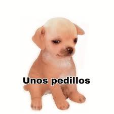 JessRorr's tweet photo. Miércoles tranqui💓
Suscribete con Amazon prime y es totalmente gratis 😍

https://t.co/hojlb3JWkO

 #twitchlatam #viral #JessbeelR #videojuegos  #chicagamer #gamergirl #gamers #PS4live #PS4share #Mexico  #gamermexicana #twitchstreamer https://t.co/Yo3ECoC0El