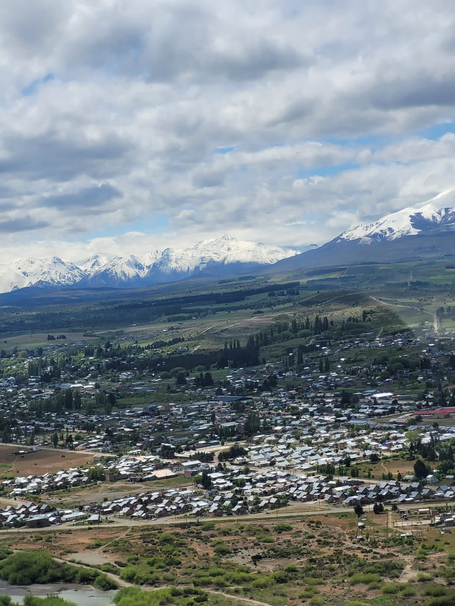 lynwen harrington tweet media