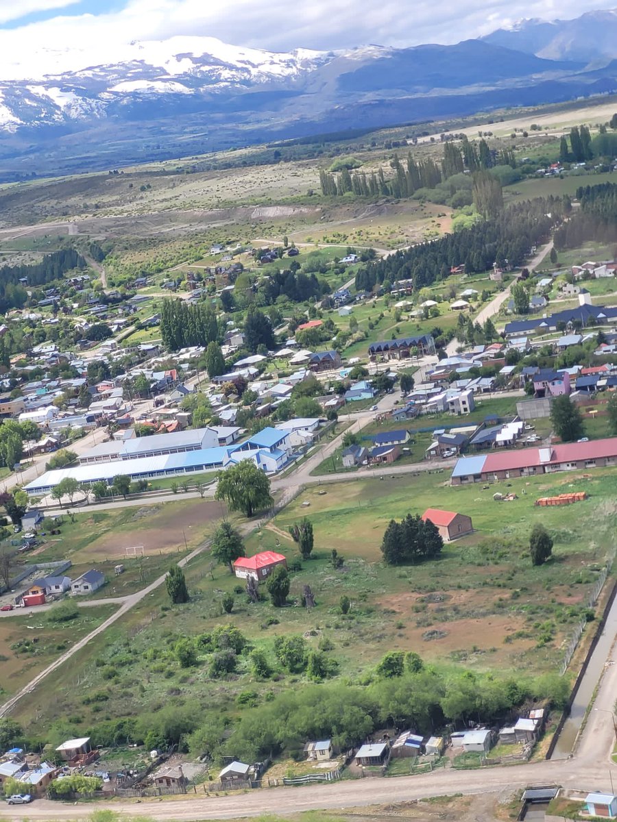 lynwen harrington tweet media