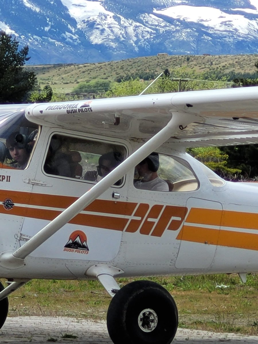 lynwen harrington tweet media